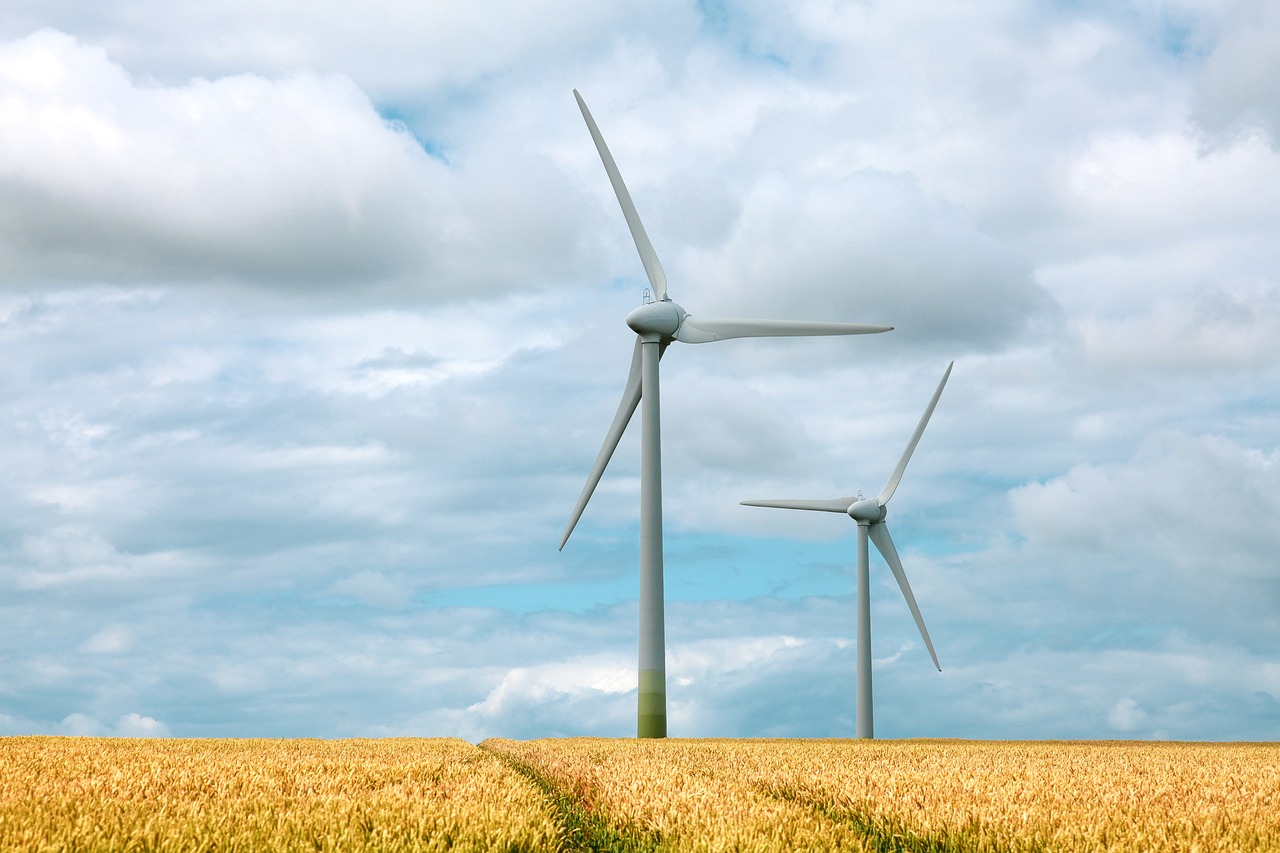 Key Features of a Sustainable Eco-Friendly Landscape